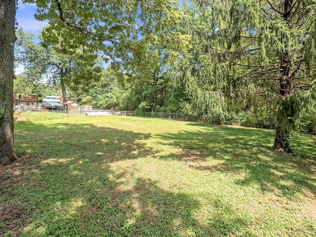 4702 Eldridge Rd, Hixson, TN 37343 - view of yard