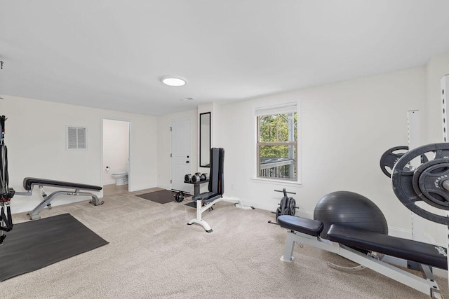 6859 Steep Hl, Ooltewah, TN 37363 - exercise area featuring carpet flooring