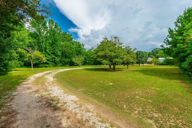 747 Vittetoe Rd, Chickamauga, GA 30707 - photo 33