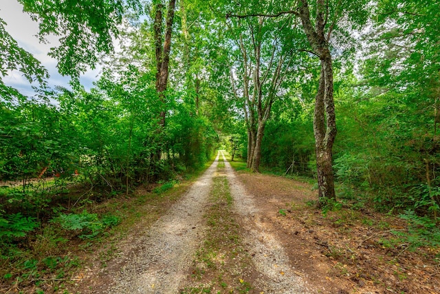 747 Vittetoe Rd, Chickamauga, GA 30707 - photo 35