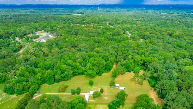 747 Vittetoe Rd, Chickamauga, GA 30707 - photo 36