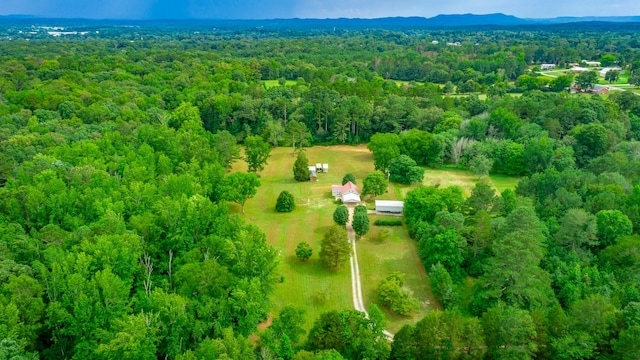 747 Vittetoe Rd, Chickamauga, GA 30707 - photo 37