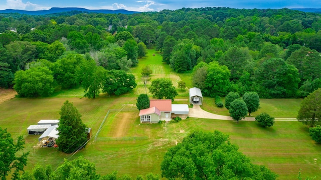747 Vittetoe Rd, Chickamauga, GA 30707 - photo 38
