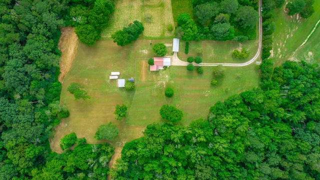 747 Vittetoe Rd, Chickamauga, GA 30707 - photo 43