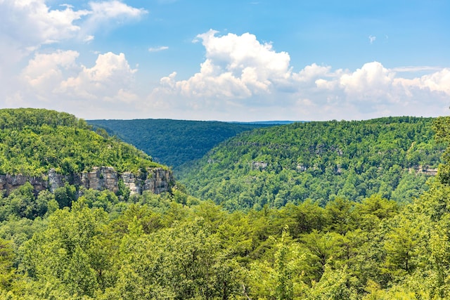1034 Montlake Rd, Soddy Daisy, TN 37379 - view of mountain background featuring a forest