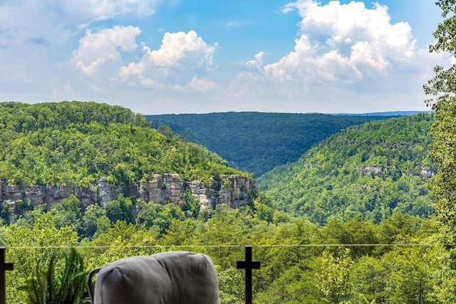 1034 Montlake Rd, Soddy Daisy, TN 37379 - mountain view with a heavily wooded area