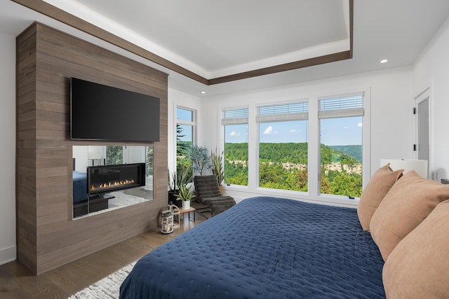 1034 Montlake Rd, Soddy Daisy, TN 37379 - bedroom with wood finished floors, a glass covered fireplace, a tray ceiling, and recessed lighting