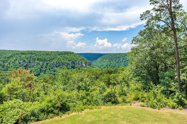 1034 Montlake Rd, Soddy Daisy, TN 37379 - mountain view with a forest