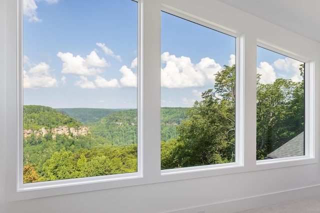 1034 Montlake Rd, Soddy Daisy, TN 37379 - water view with a forest