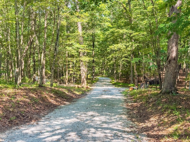 1034 Montlake Rd, Soddy Daisy, TN 37379 - view of street with a wooded view