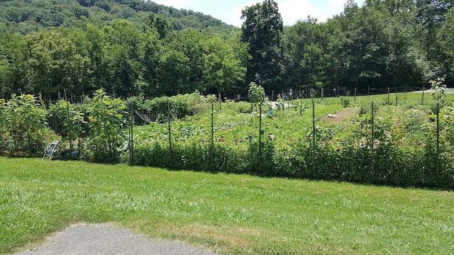 1034 Montlake Rd, Soddy Daisy, TN 37379 - view of green lawn featuring a garden and a view of trees
