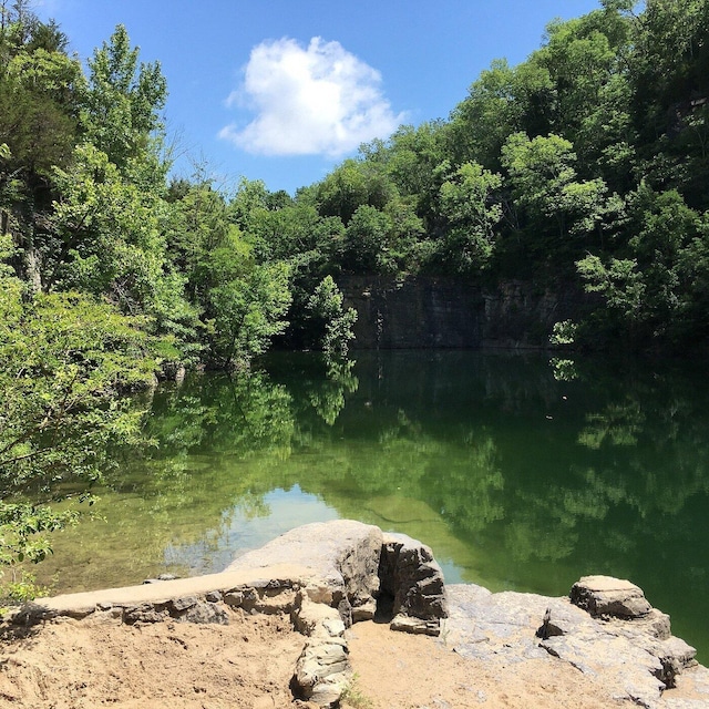 1034 Montlake Rd, Soddy Daisy, TN 37379 - water view with a forest