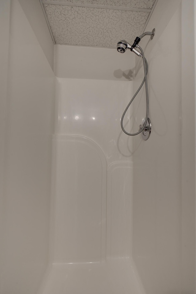 9028 Warbler Ln, Chattanooga, TN 37421 - bathroom view of a shower