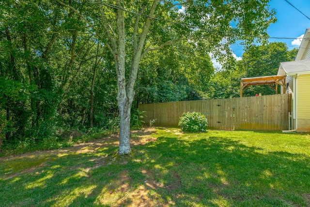 171 Gentry Rd, Ringgold, GA 30736 - view of yard
