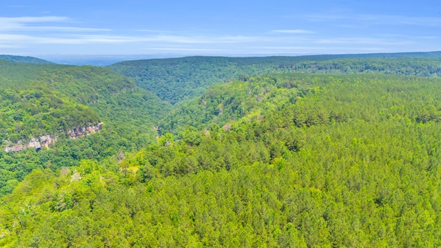 0 Worley Rd Lot 15, Soddy Daisy, TN 37379 - photo 2