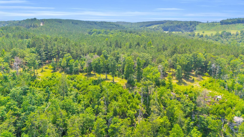 0 Worley Rd Lot 15, Soddy Daisy, TN 37379 - photo 3