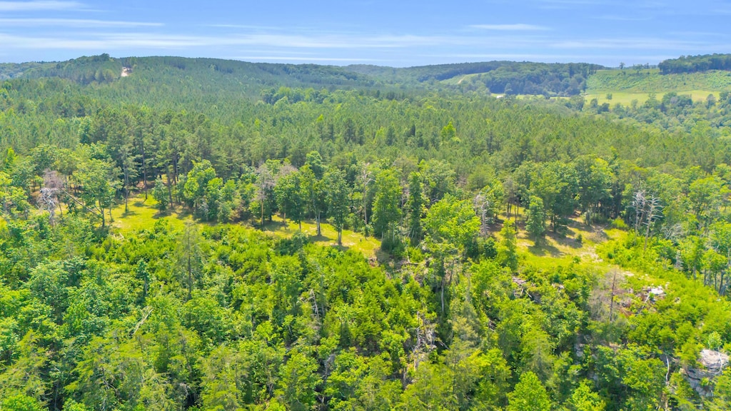 0 Worley Rd Lot 15, Soddy Daisy, TN 37379 - photo 4