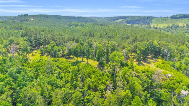 0 Worley Rd Lot 15, Soddy Daisy, TN 37379 - photo 4