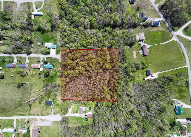12 Newt Vanattia Rd, Hillsboro, TN 37342