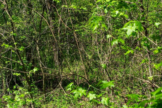 12 Newt Vanattia Rd, Hillsboro, TN 37342