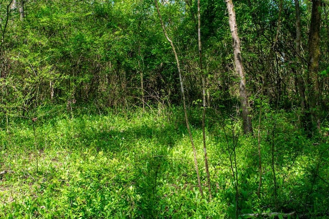 12 Newt Vanattia Rd, Hillsboro, TN 37342