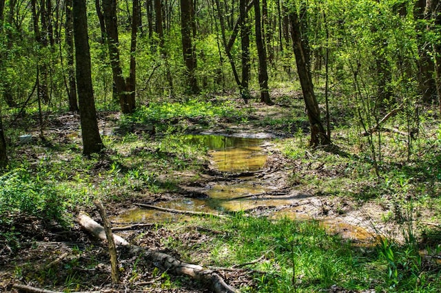 12 Newt Vanattia Rd, Hillsboro, TN 37342