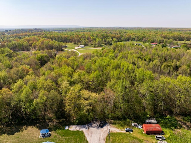 12 Newt Vanattia Rd, Hillsboro, TN 37342