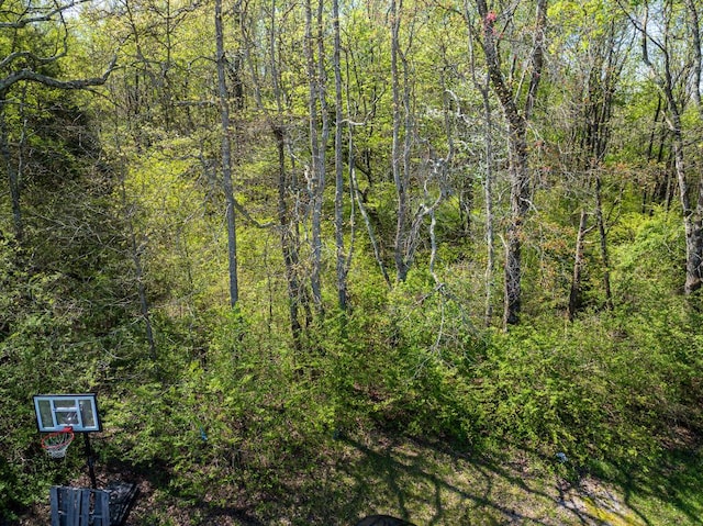 12 Newt Vanattia Rd, Hillsboro, TN 37342