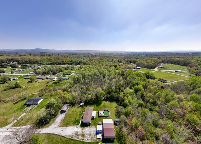 12 Newt Vanattia Rd, Hillsboro, TN 37342