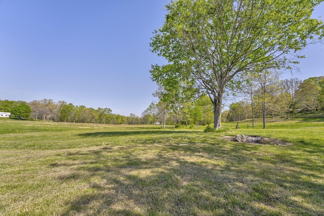 4976 Stewart Rd, Tunnel Hill, GA 30755 - view of grassy yard with a wooded view