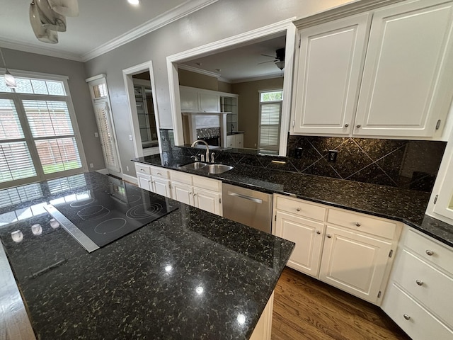 6419 Camdendown Ln, Hixson, TN 37343 - kitchen with stainless steel dishwasher, ceiling fan, healthy amount of natural light, black electric cooktop, and ornamental molding