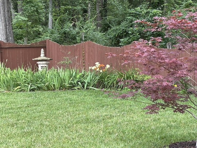 6419 Camdendown Ln, Hixson, TN 37343 - view of yard
