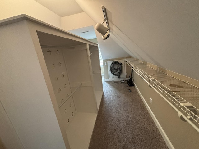 6419 Camdendown Ln, Hixson, TN 37343 - spacious closet with light carpet