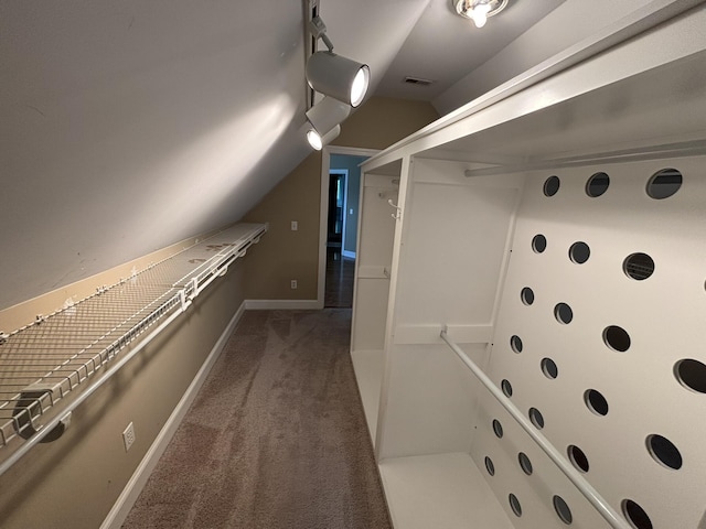 6419 Camdendown Ln, Hixson, TN 37343 - spacious closet with carpet flooring and vaulted ceiling