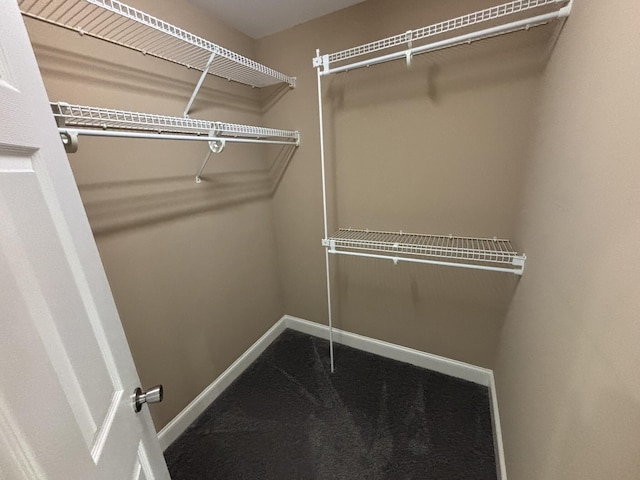 6419 Camdendown Ln, Hixson, TN 37343 - spacious closet featuring carpet
