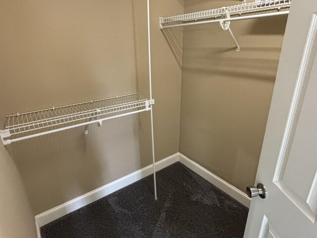 6419 Camdendown Ln, Hixson, TN 37343 - spacious closet with dark carpet