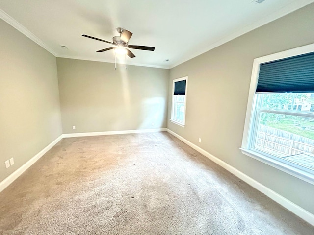 8127 Slugger Way, Chattanooga, TN 37421 - spare room with crown molding, ceiling fan, and carpet flooring