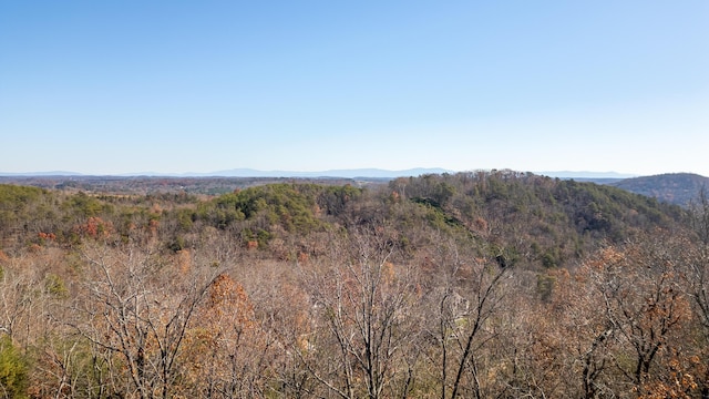 2221 Horizons Dr, Ooltewah, TN 37363 - photo 5