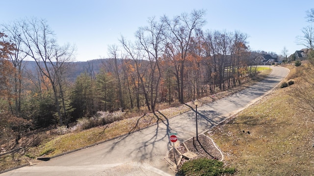2221 Horizons Dr, Ooltewah, TN 37363 - photo 11