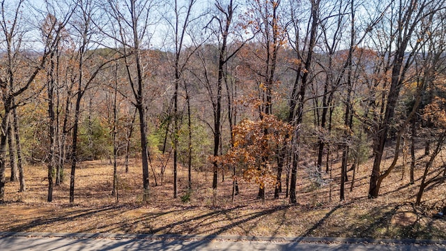 2221 Horizons Dr, Ooltewah, TN 37363 - photo 12