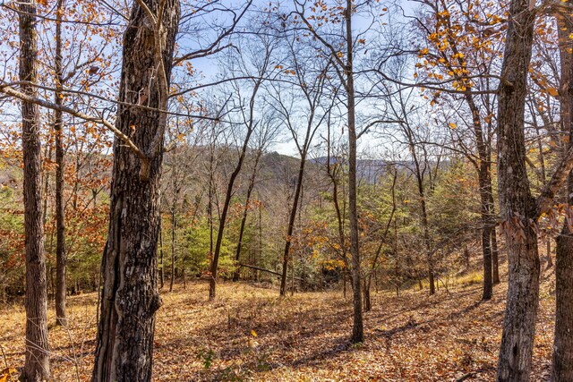 2221 Horizons Dr, Ooltewah, TN 37363 - photo 13