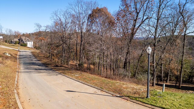 2221 Horizons Dr, Ooltewah, TN 37363 - photo 15