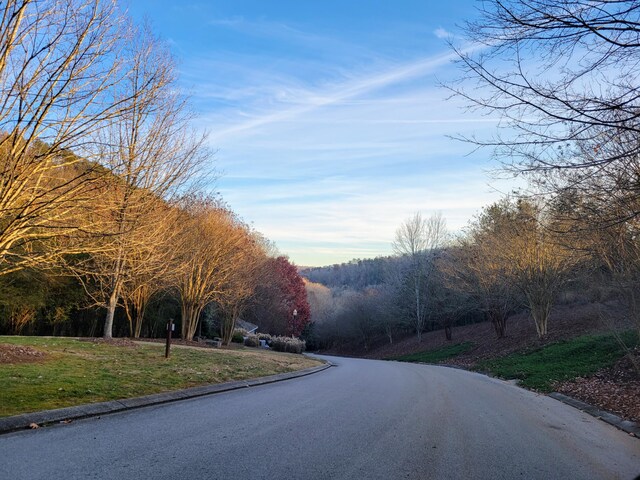 2221 Horizons Dr, Ooltewah, TN 37363 - photo 16