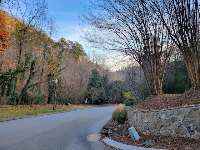 2221 Horizons Dr, Ooltewah, TN 37363 - photo 18