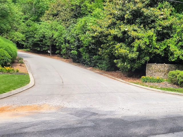 2221 Horizons Dr, Ooltewah, TN 37363 - photo 21