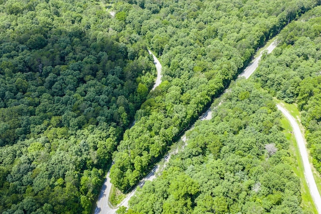 0 Genesis Rd, Crossville, TN 38571 - photo 4