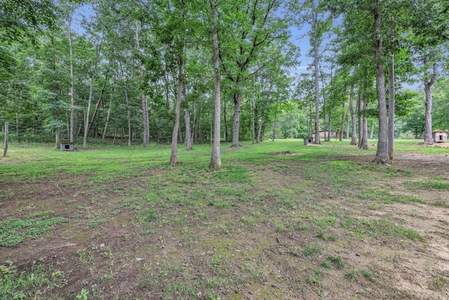 1165 Hugh Allison, Pikeville, TN 37367 - view of yard featuring a forest view