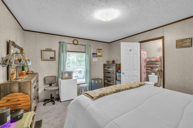 1165 Hugh Allison, Pikeville, TN 37367 - bedroom featuring ornamental molding, light carpet, a textured ceiling, and lofted ceiling