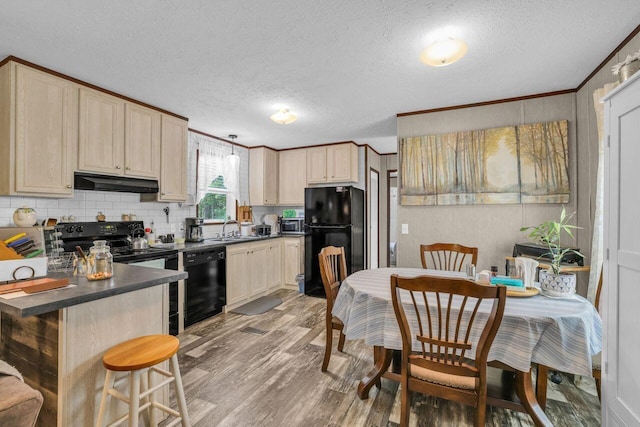 1165 Hugh Allison, Pikeville, TN 37367 - kitchen with black appliances, under cabinet range hood, dark countertops, light wood-style floors, and decorative backsplash