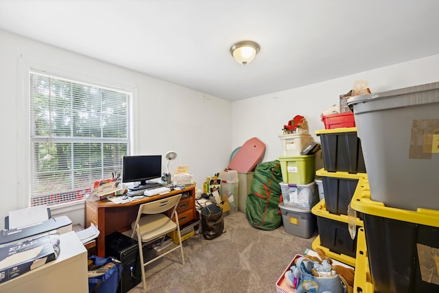 2386 Utility Rd, Rocky Face, GA 30740 - photo 18
